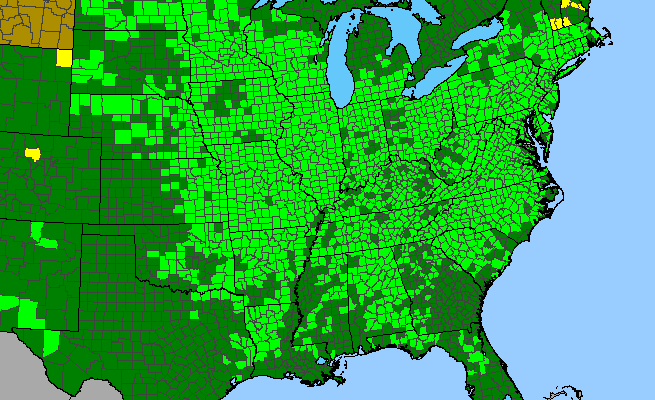 The range of Polygonatum biflorum